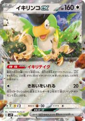 Squawkabilly ex 065/071