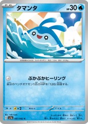 Mantyke 007/062