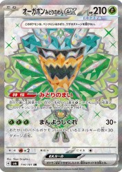 Teal Mask Ogerpon ex 114/101