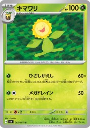 Sunflora 002/101