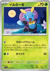 Illumise 005/101
