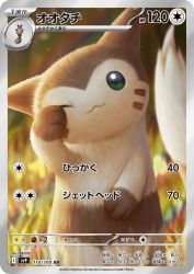 Furret 110/100