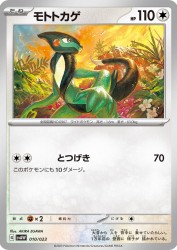 Cyclizar 010/023