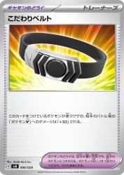 Choice Belt 006/028