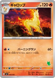 Rapidash 008/066
