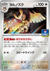 Noctowl 173/SV-P