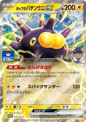 Hop's Pincurchin ex 233/SV-P