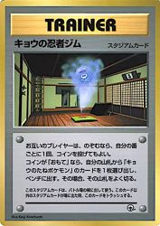 Koga's Ninja Gym —