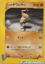 Bruno's Hitmonlee 082/141