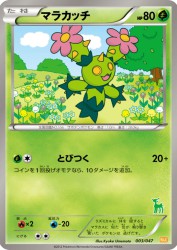 Maractus 003/047