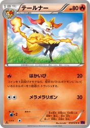 Braixen 010/078