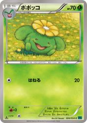 Skiploom 004/054