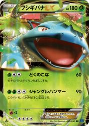 Venusaur-EX 001/060