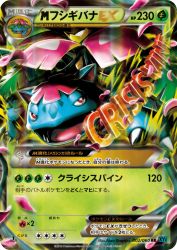 Mega Venusaur-EX 002/060