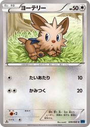 Lillipup 049/060