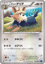 Herdier 050/060