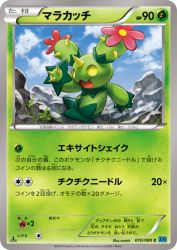 Maractus 010/080