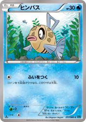 Feebas 017/080