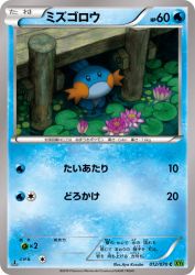 Mudkip 012/070