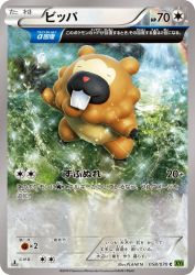 Bidoof 058/070
