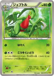 Grovyle 004/070
