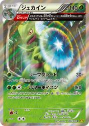 Sceptile 006/070