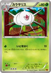 Silcoon 004/078