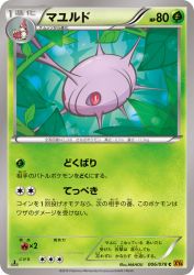 Cascoon 006/078