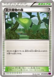 Forest of Giant Plants 079/081