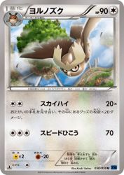 Noctowl 050/059