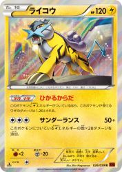 Raikou 026/059