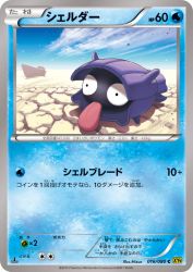 Shellder 016/080
