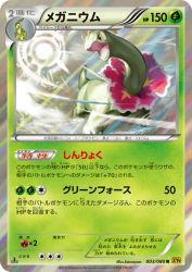 Meganium 003/080