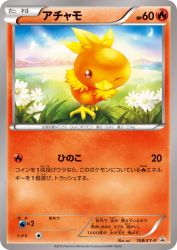 Torchic 108/XY-P