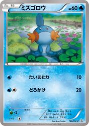 Mudkip 109/XY-P