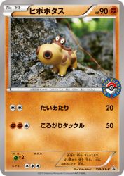 Hippopotas 159/XY-P