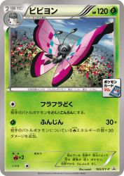 Vivillon 165/XY-P