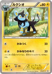 Luxio 179/XY-P