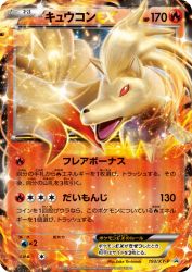 Ninetales-EX 193/XY-P