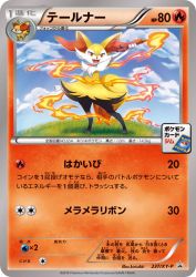 Braixen 237/XY-P