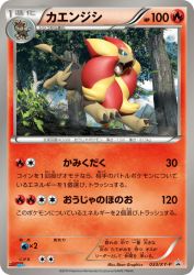 Pyroar 033/XY-P