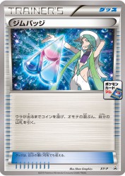 Gym Badge (Wallace) XY-P