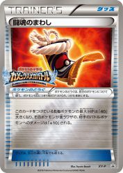 Fighting Fury Belt XY-P