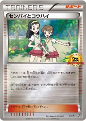 Teammates XY-P