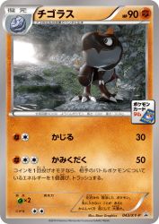Tyrunt 043/XY-P