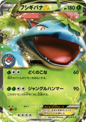 Venusaur-EX 074/XY-P
