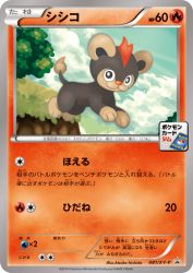 Litleo 081/XY-P
