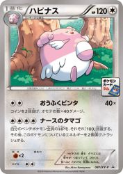 Blissey 087/XY-P