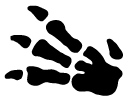 Fossile