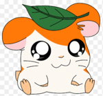 Avatar de l’utilisateur
